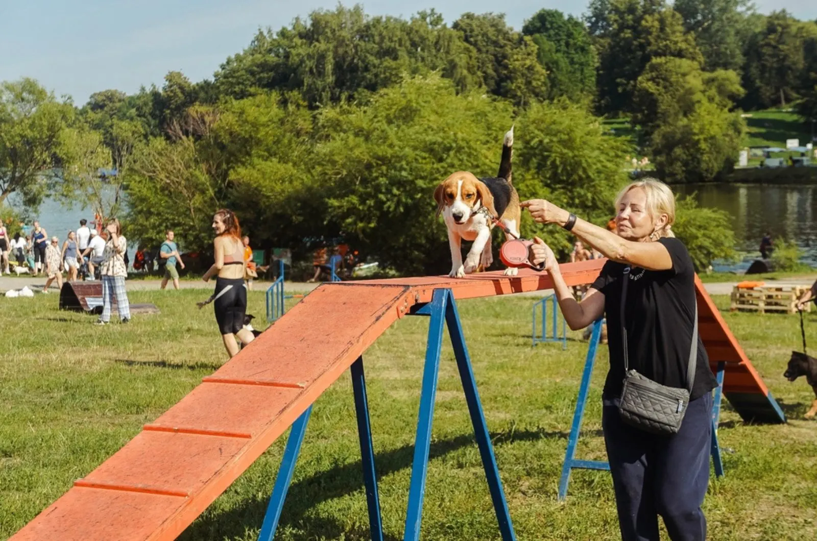 woman training her dog on a playground
