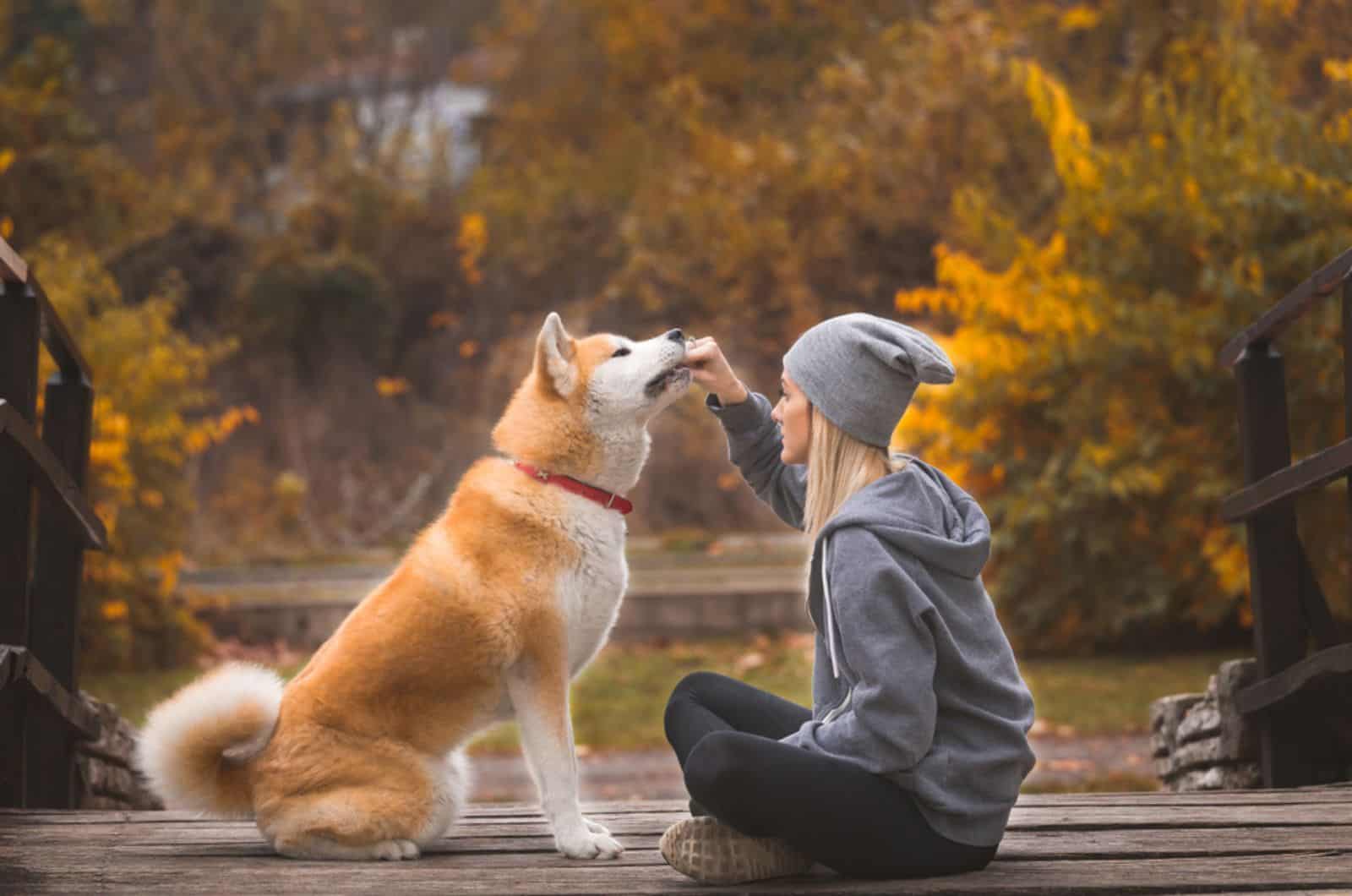 woman with her akita inu dog in nature