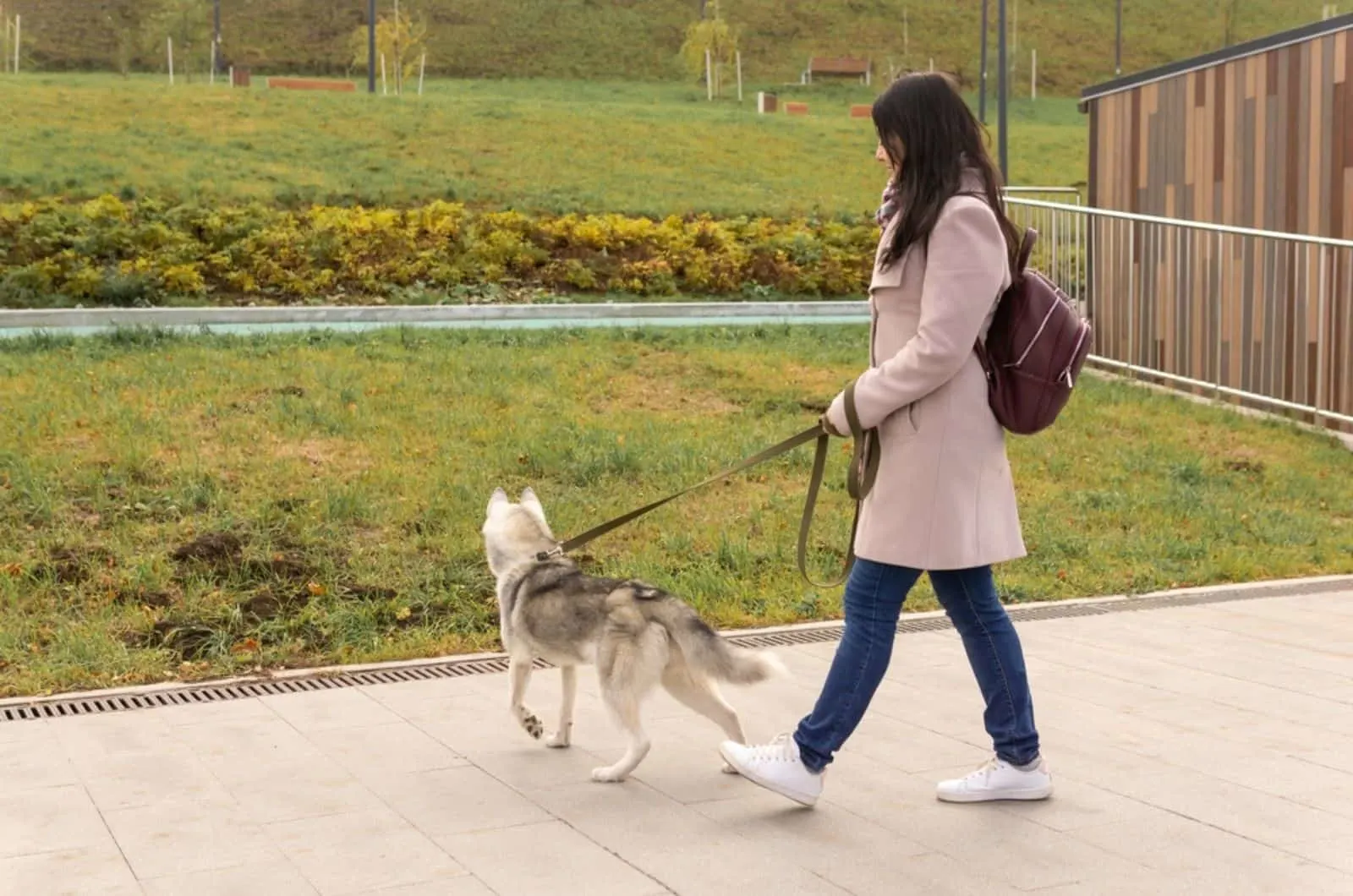 woman with husky dog walking