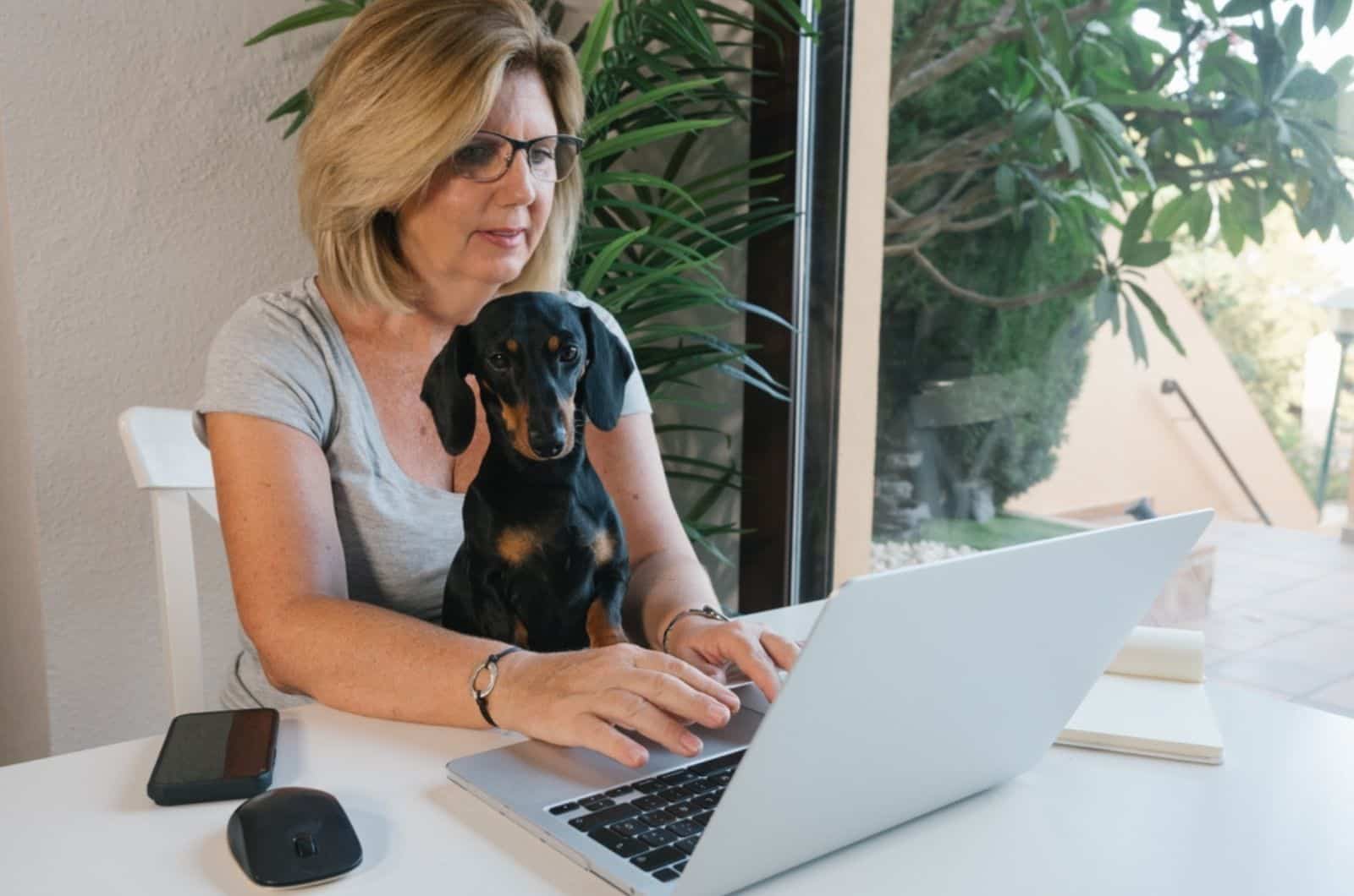 woman working at home on computer with her dachshund dog