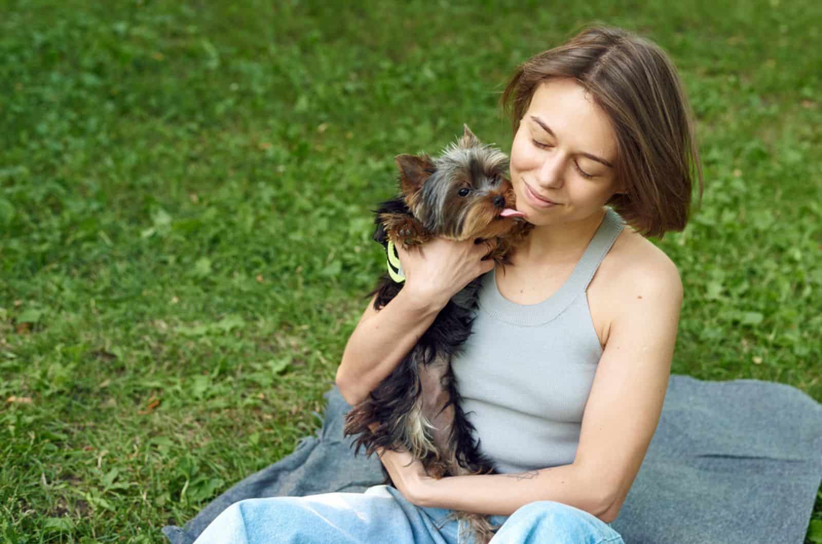 yorkshire terrier dog is in the arms of its owner and licks her face