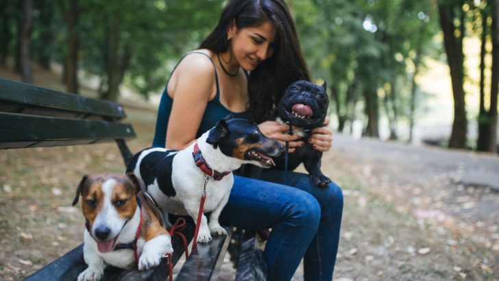 A Dog Walker Tells You All About Top 10 Most Talkative Breeds