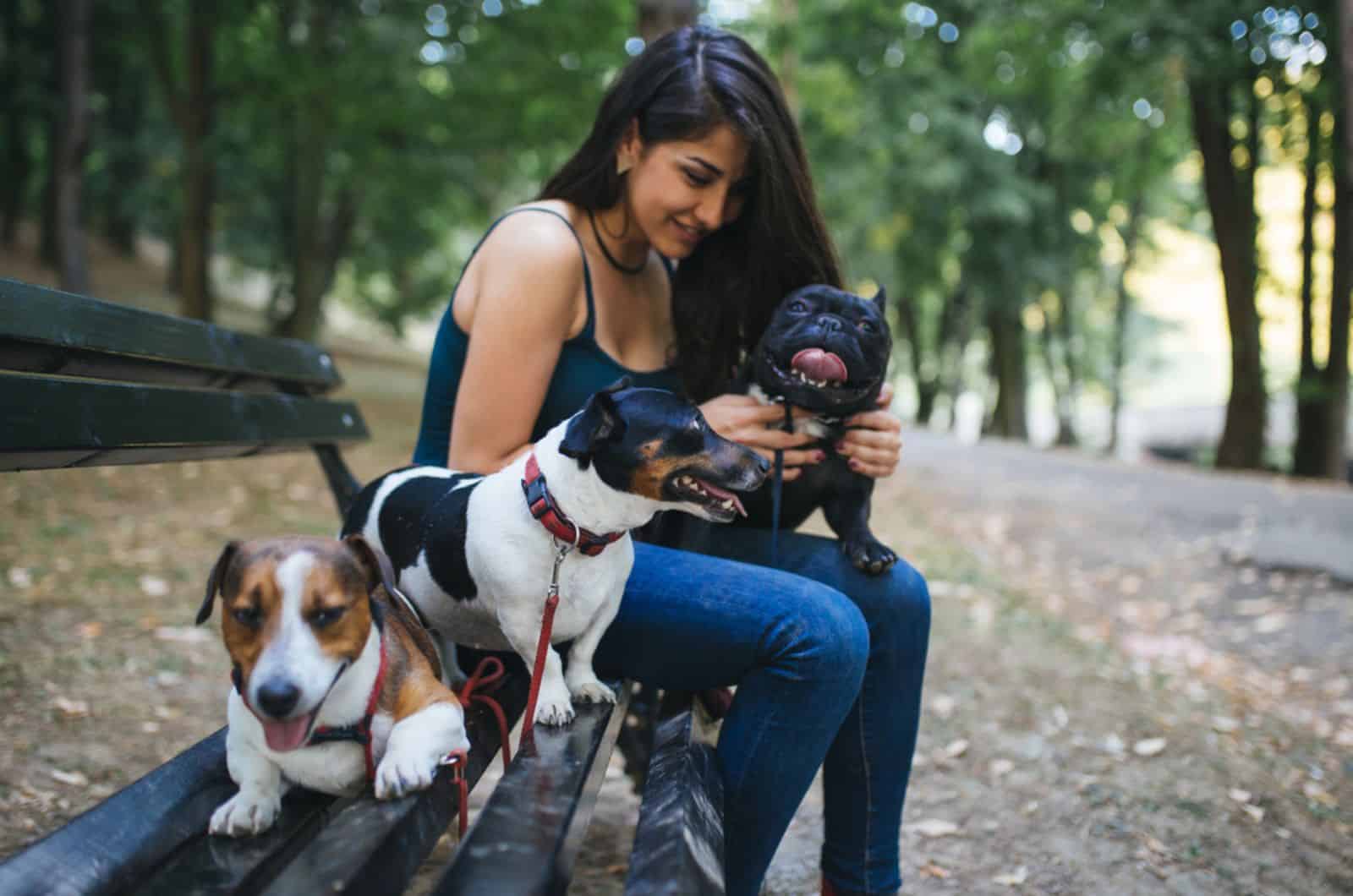 dog walker with dogs enjoying in park