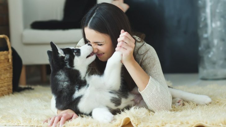 10 Reasons Why A Dog Person Is Simply Better Than A Cat Person