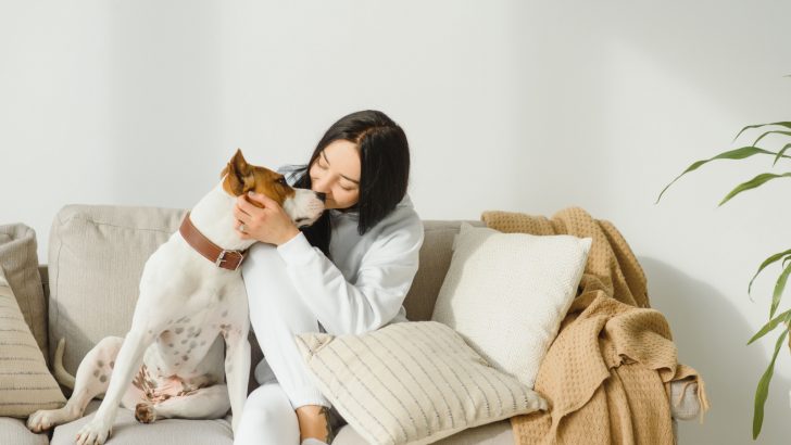 6 Telltale Signs That Your Dog Wants To Receive Some Pets