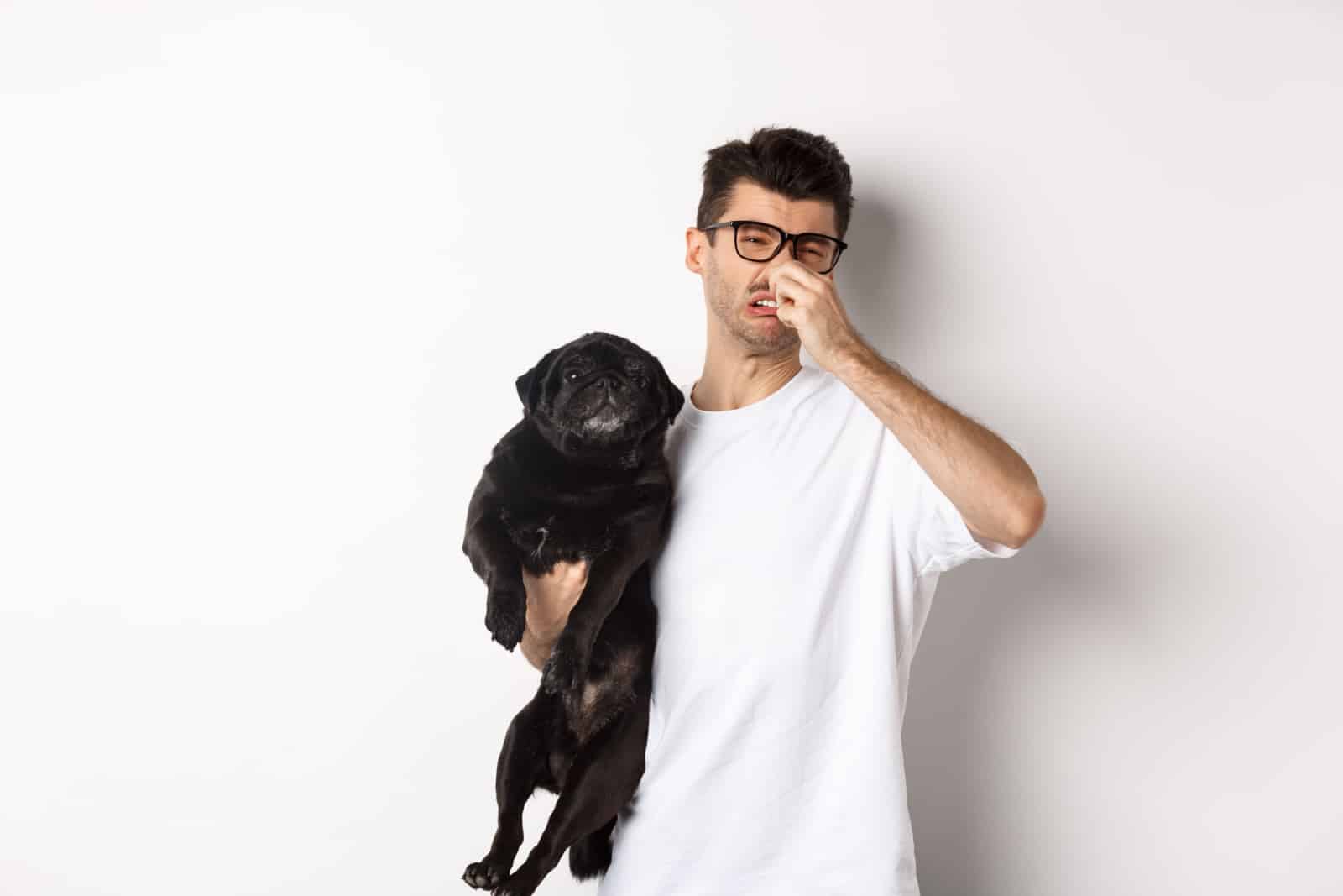 Young man shut nose as holding pug, disgusted with bad smell fart