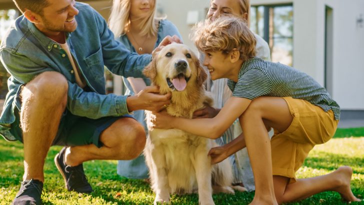 9 Steps To Becoming The Real Alpha Of Your Pack