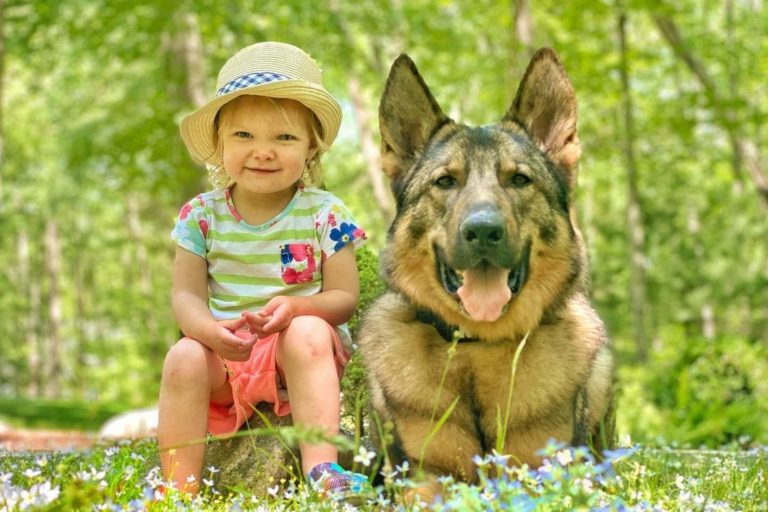 cute photo of sonny the police dog next to reagan