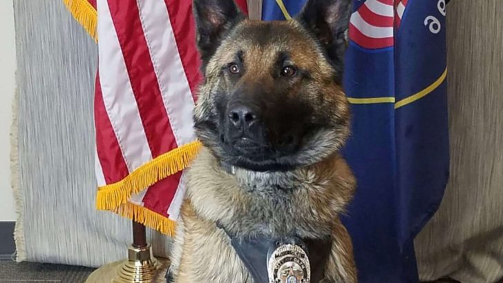 A Retiring Police Dog Gets His Final Goodbye Over A Radio Call