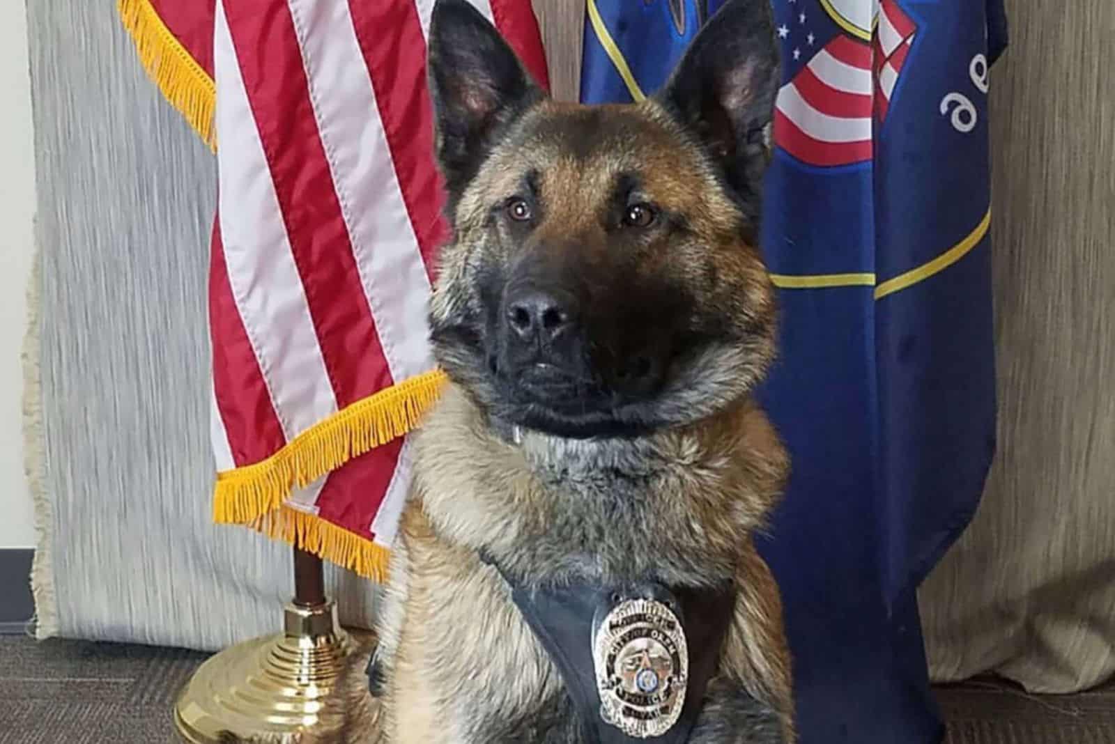 A Retiring Police Dog Gets His Final Goodbye Over A Radio Call