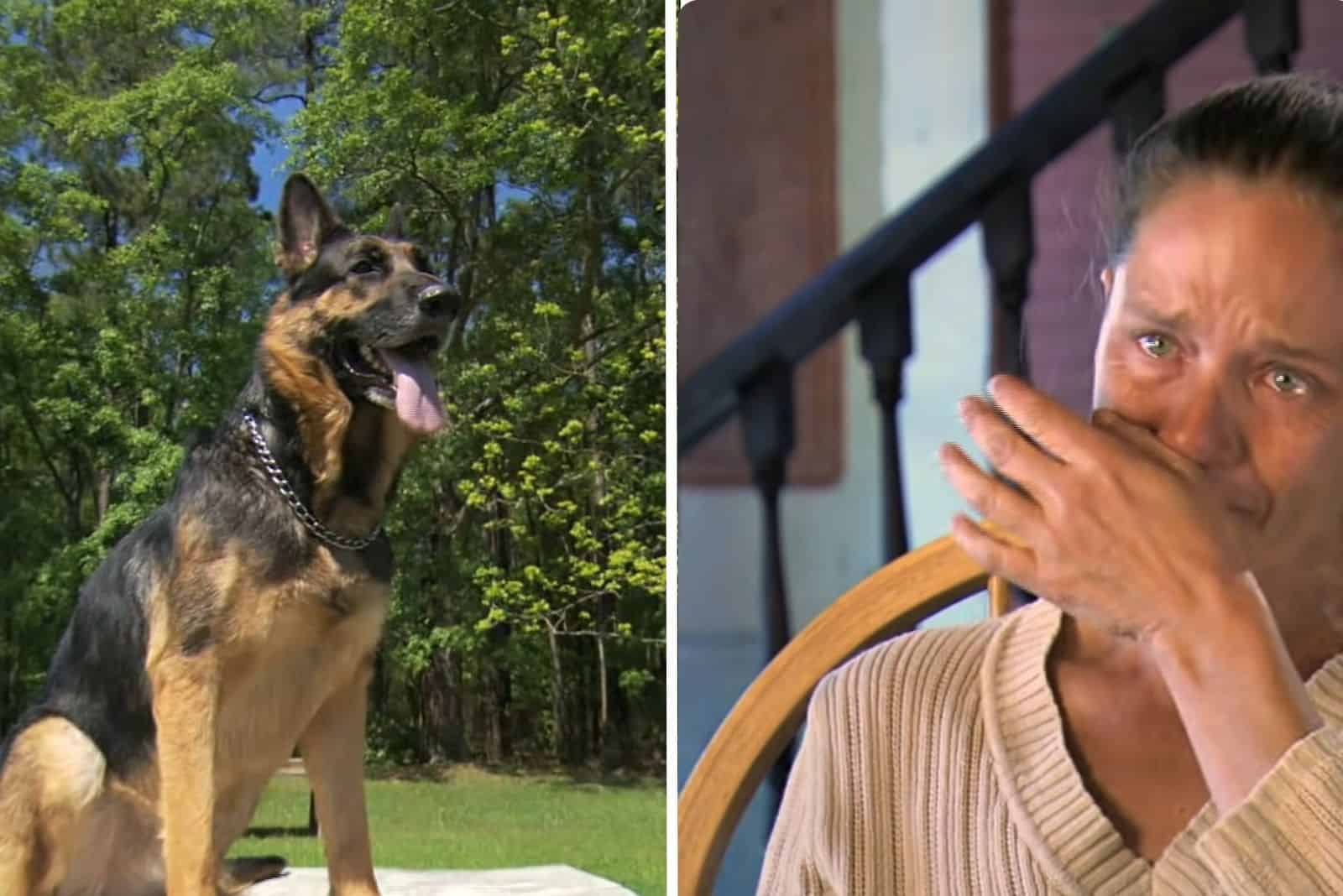german shepherd and a woman