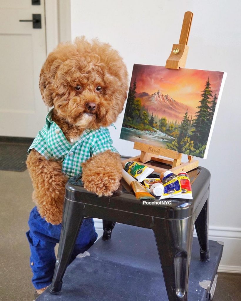 Bob Ross Of Dogs