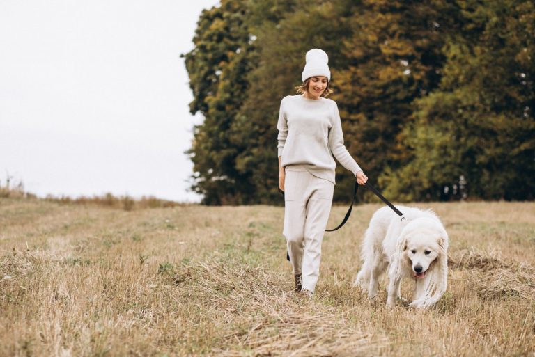 a girl walks in a field with a dog