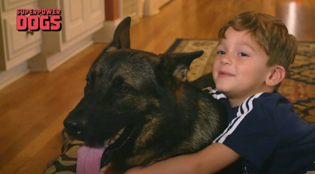 German shepherd lies on the floor while a boy hugs him