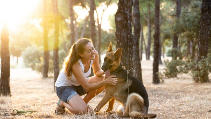Here Are 11 Fun Activities To Do With Your German Shepherd