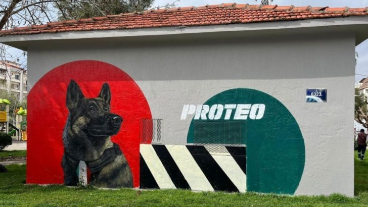 Izmir Mural Honors Proteo, The Mexican Rescue Dog Crushed By Rubble