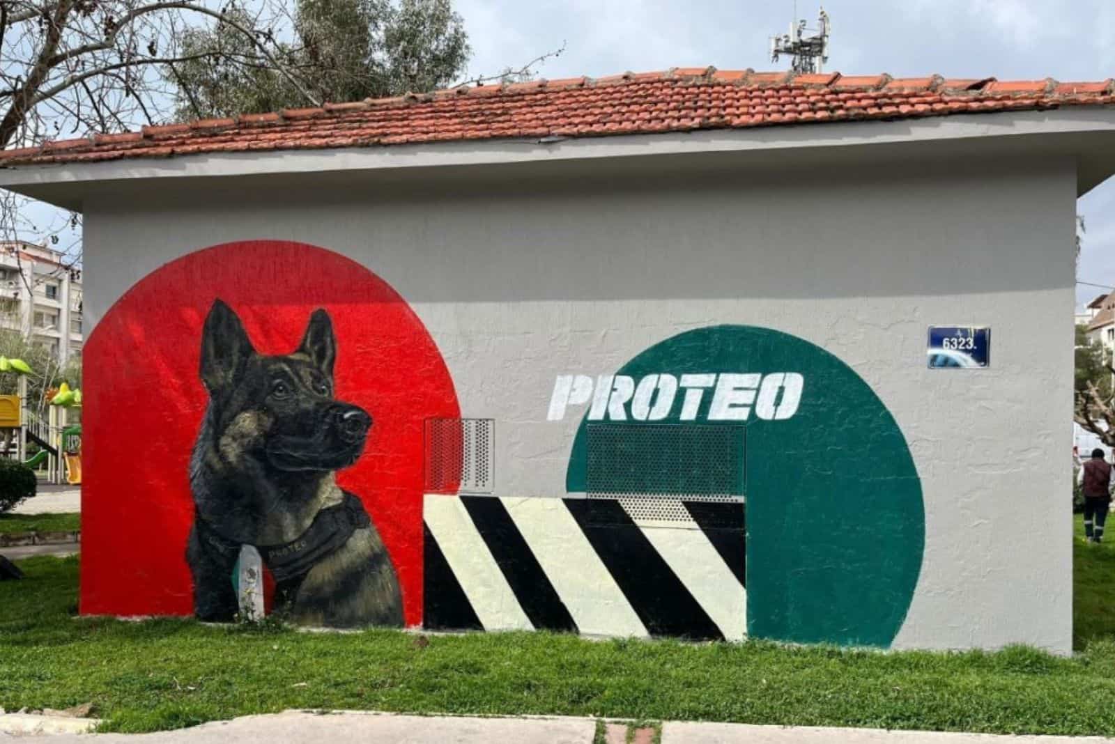 Izmir Mural Honors Proteo, The Mexican Rescue Dog Crushed By Rubble