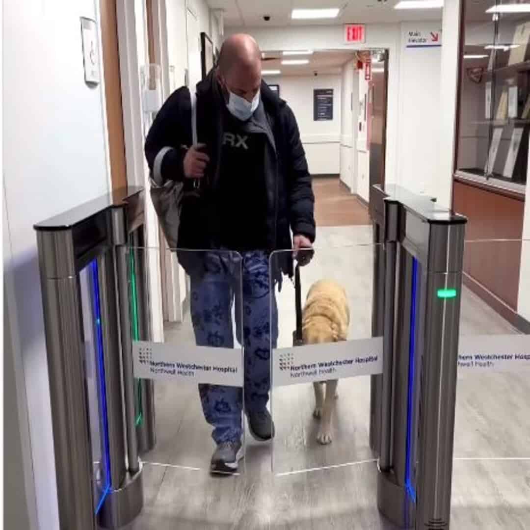 Magnus and his owner go home from the hospital