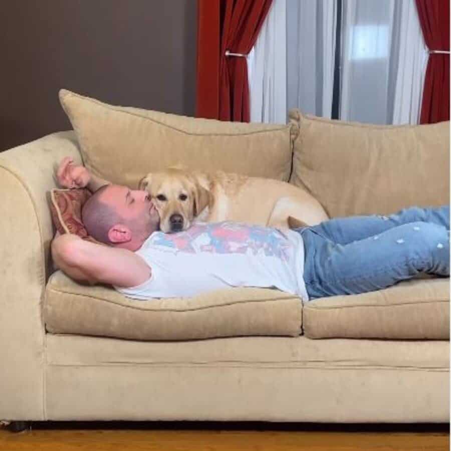 Magnus and his owner rest at home