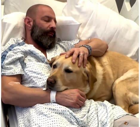 Magnus the dog cuddles his owner in hospital bed