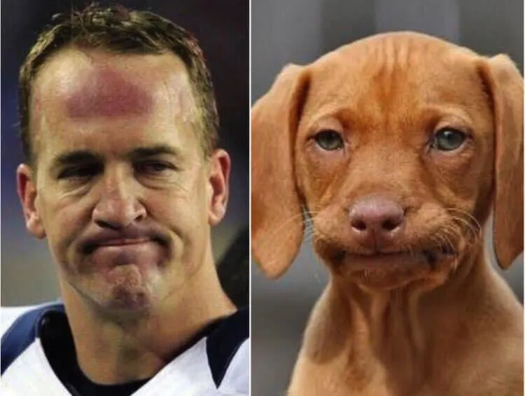 Peyton Manning, You’re A Dog Now