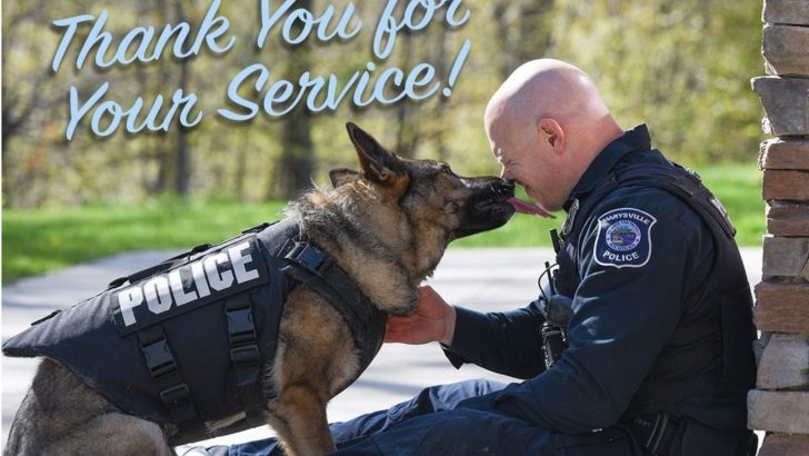 Should Safety Of Our K-9 Dogs Be So Expensive?