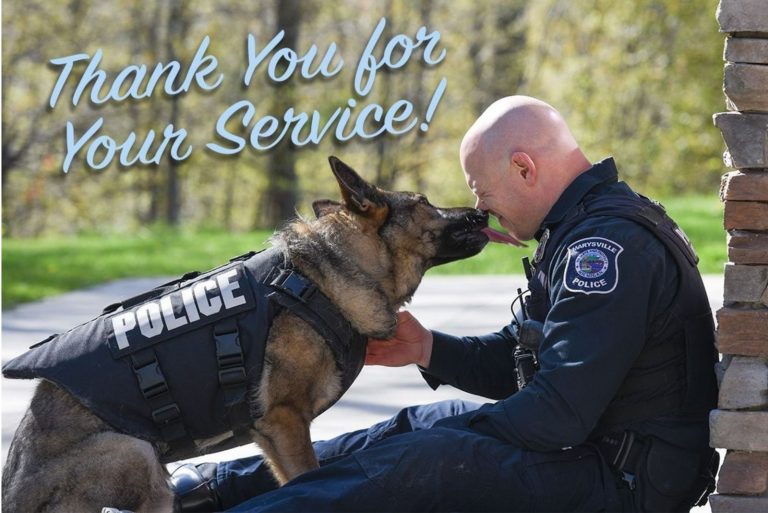 k9 wearing a police vest