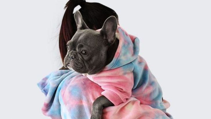 Spot The Difference: 11 Dogs Who Look Like Their People