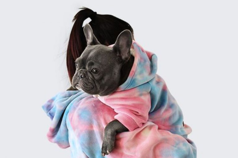 woman and her dog in same outfit