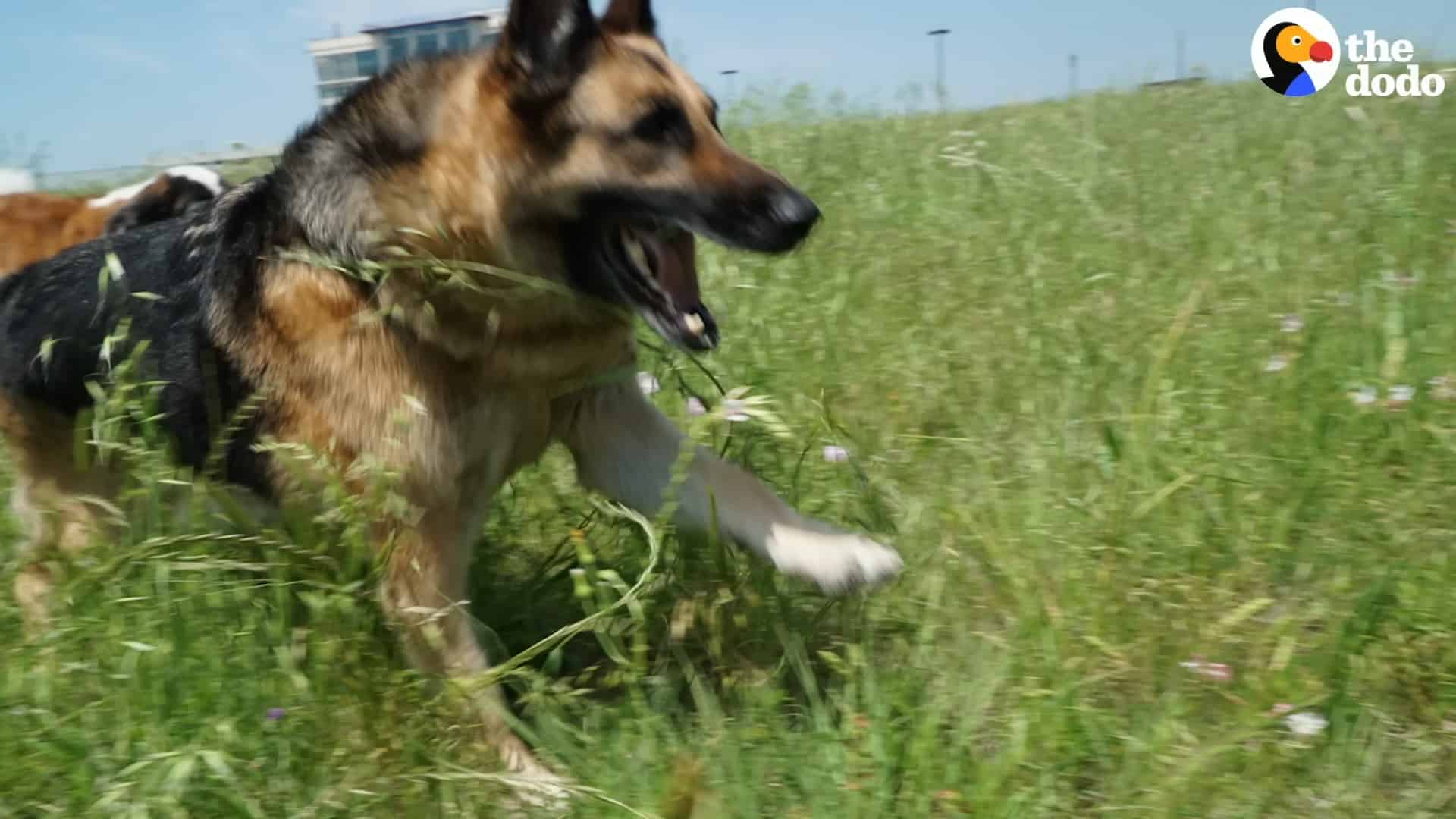 Tony on his adventure after losing weight