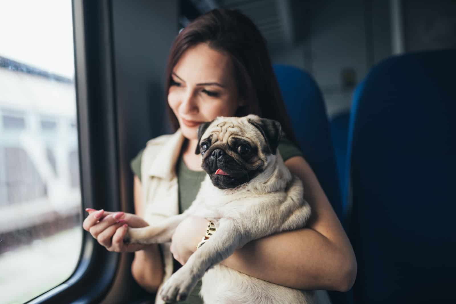 Beautiful young woman sitting in train with her pug and looking through window.