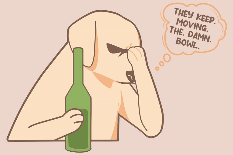 Understanding Dog Emotions