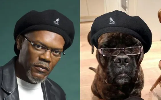 You’re Tellin’ Me This Is Not The Same Person