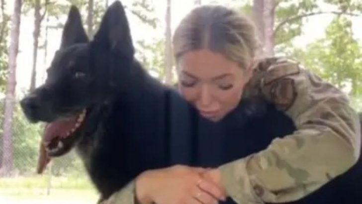 Zeusz Army Retirement Surprise Warms The MWD’s Caretaker’s Heart