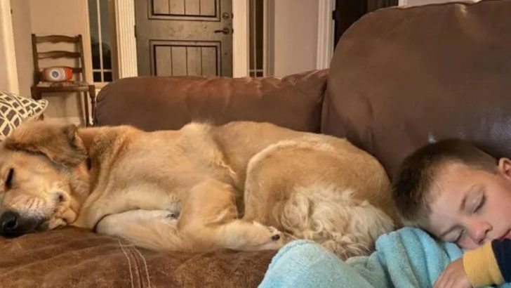 Rescue Dog, Kendall, Checks Up On Her Little Brother Every Night