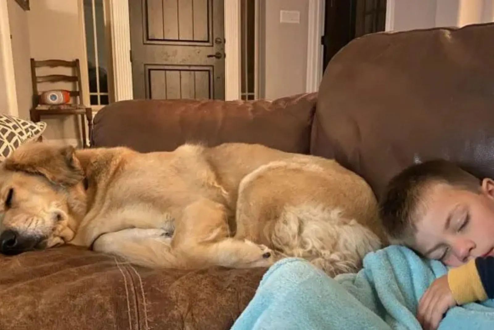 Perro de rescate tiene como misión controlar a su hermano pequeño todas las noches