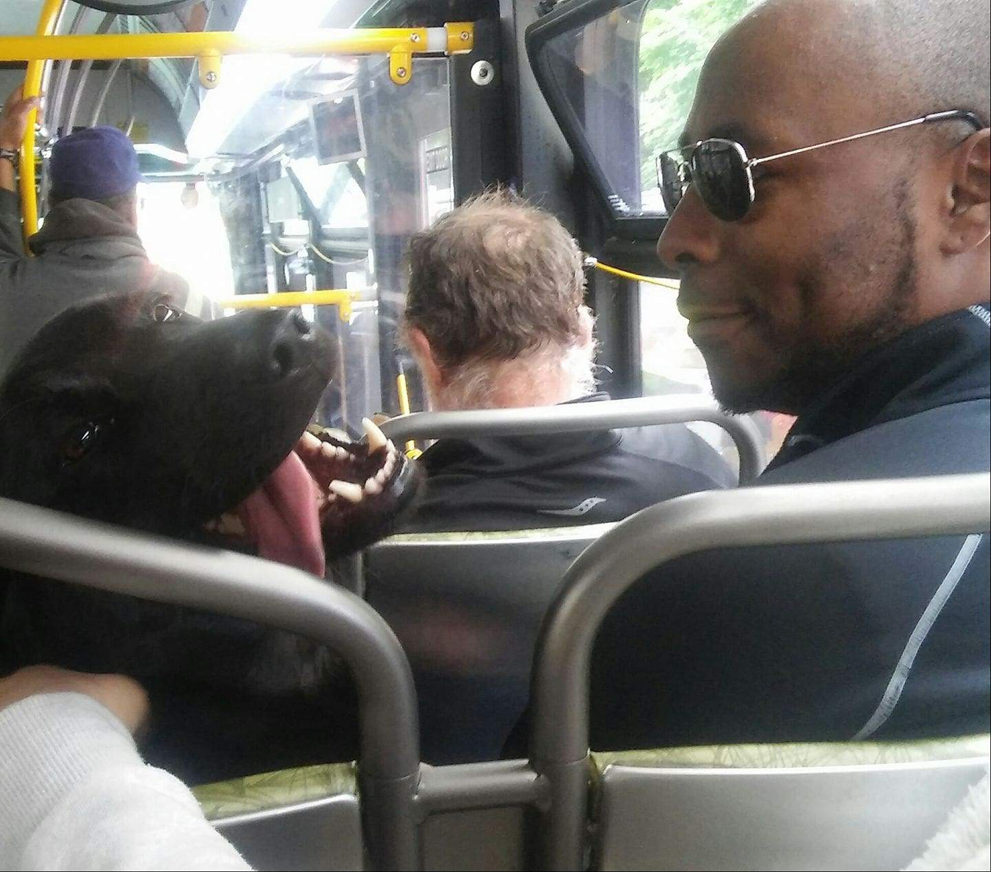 a man and a dog enjoy a bus ride