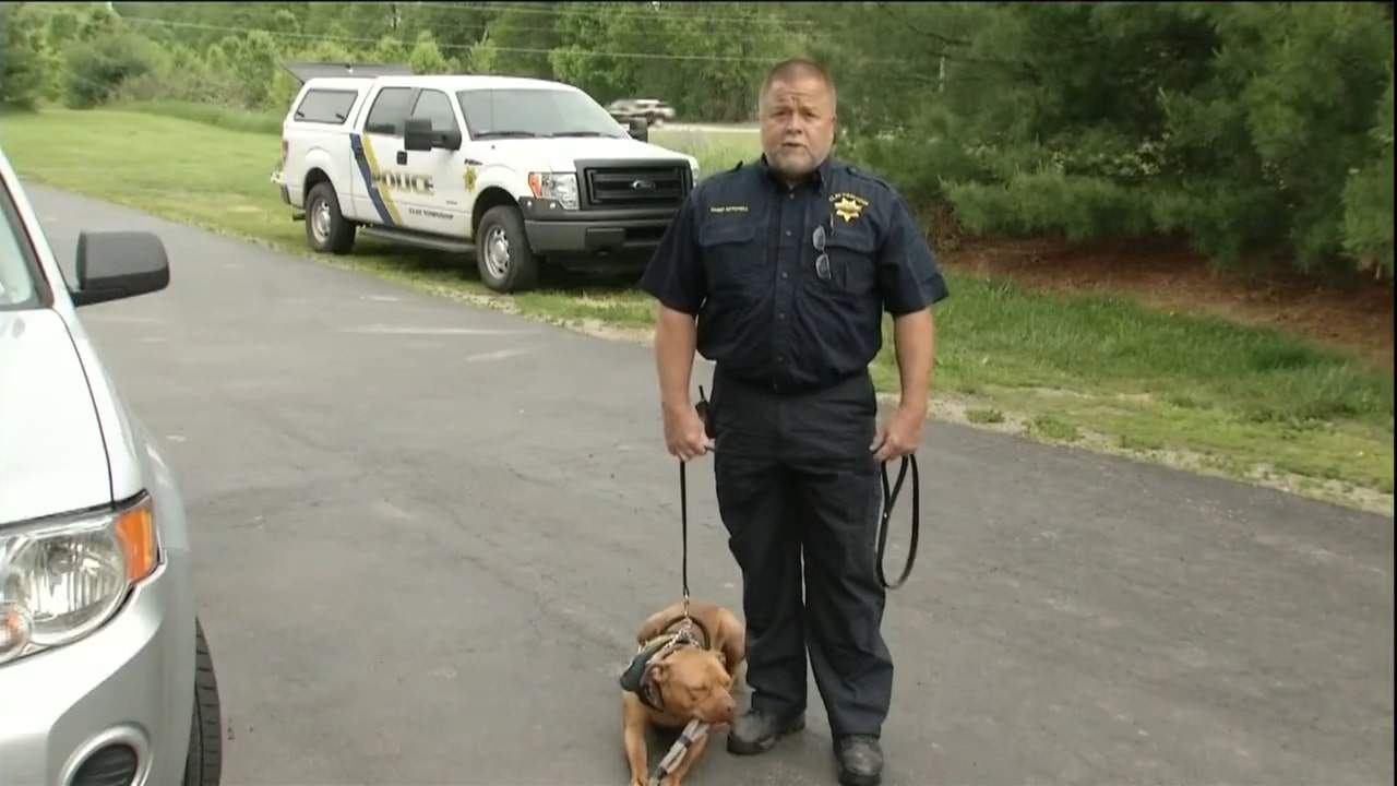 a pit bull sits on a leash next to a police officer