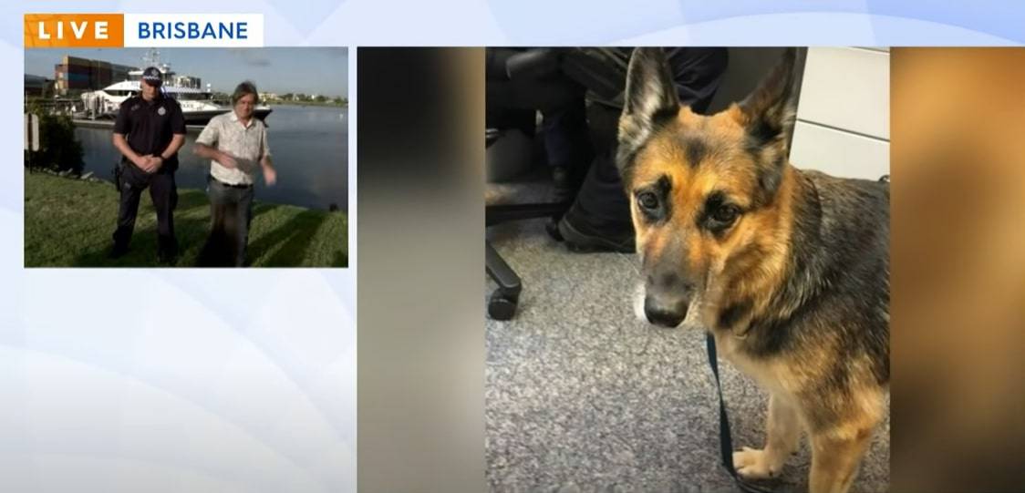 a police dog next to a policeman and a man