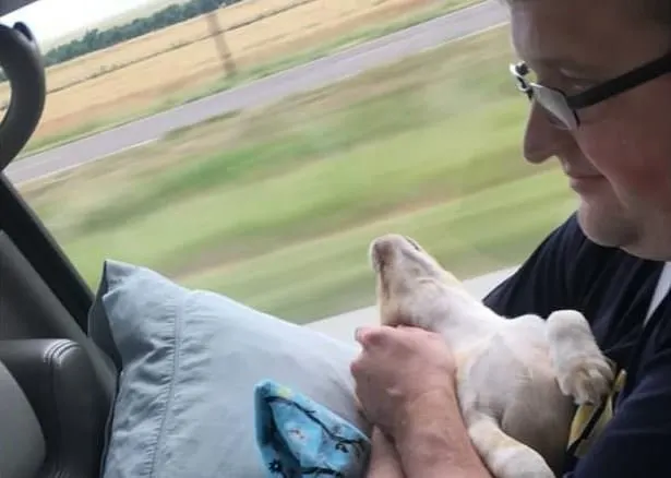 a puppy dog sleeps in the arms of a man with his head thrown back