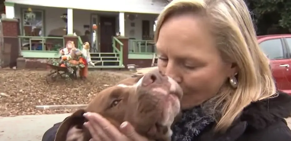 a woman kisses a pit bull