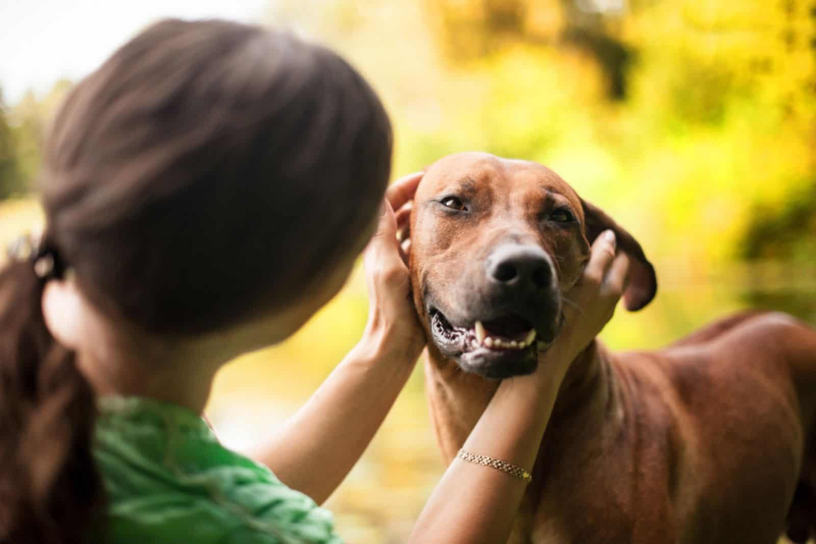 a woman petting a Rhodesian Ridgeback dog