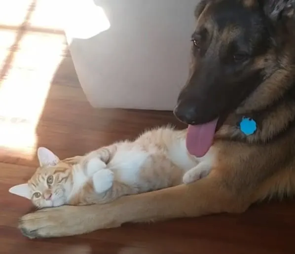 beck and bleu chilling