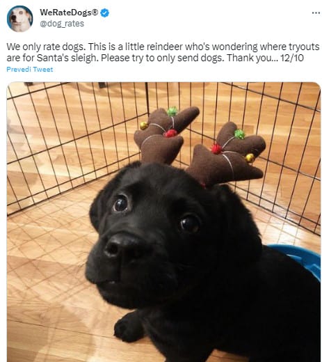black puppy with antlers