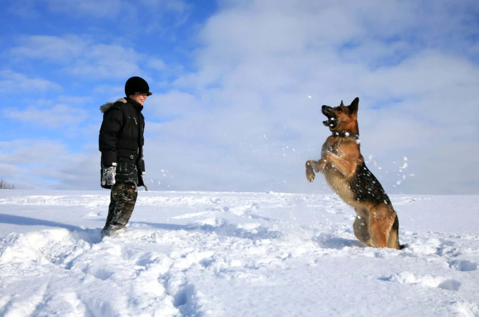boy and his german shepherd dog playing in the snow