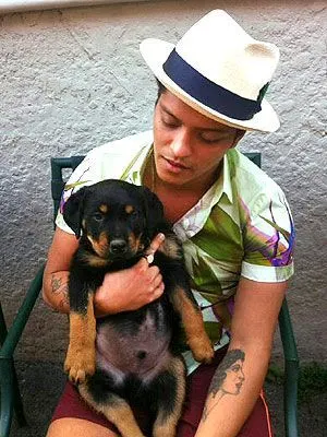bruno mars holding rottweiler puppy in his arms