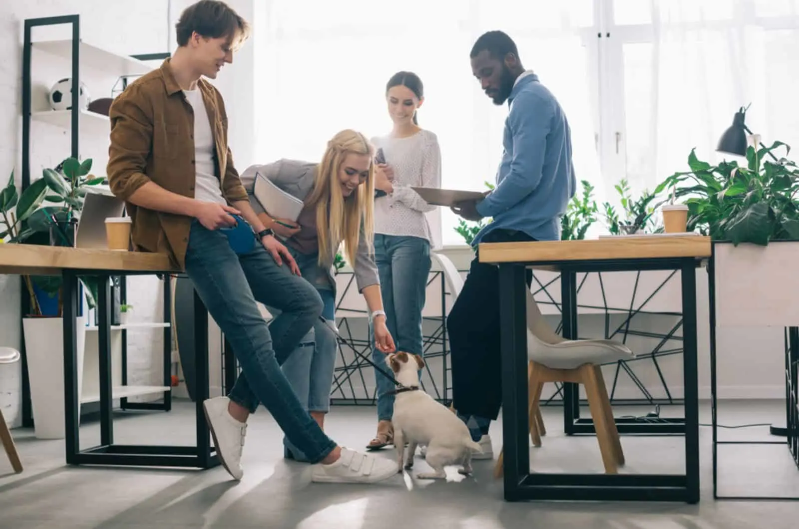 business colleagues with dog in office