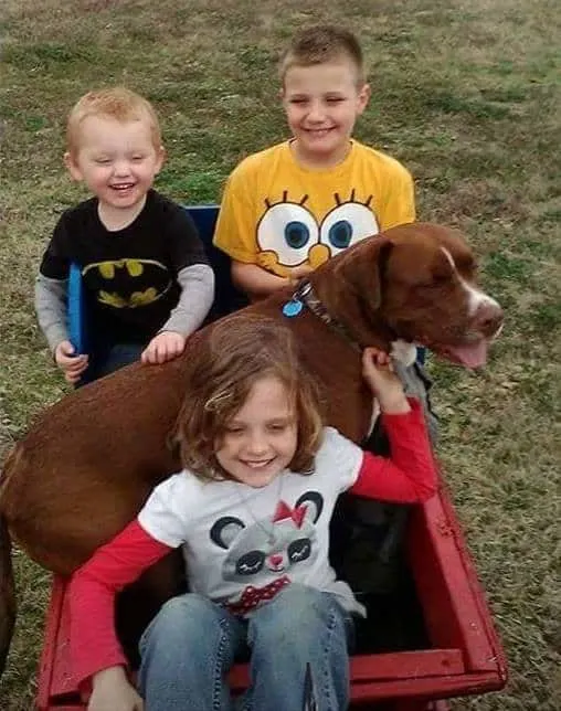 children enjoy riding in a buggy with a pit bull