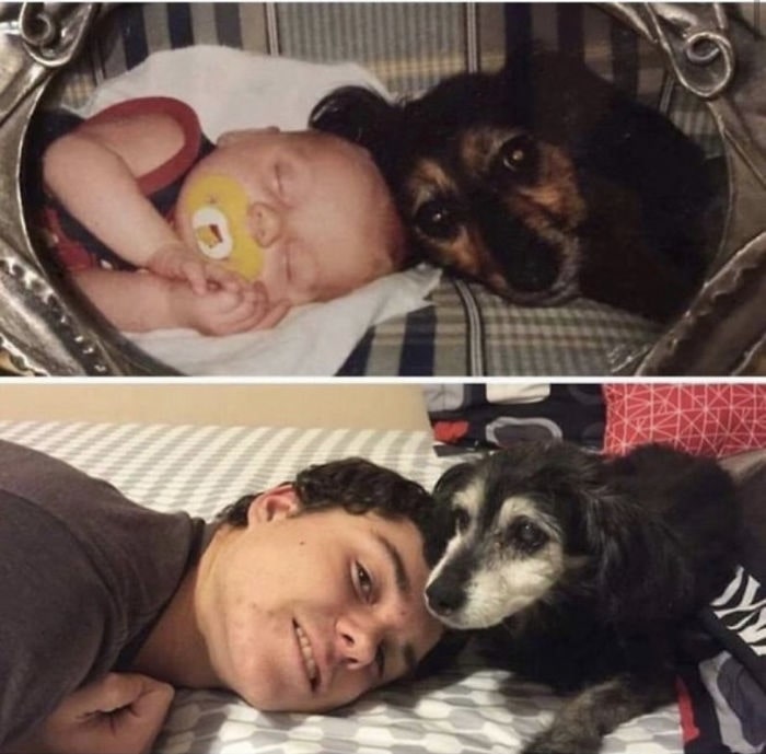 comparison photo of dog sleeping by baby