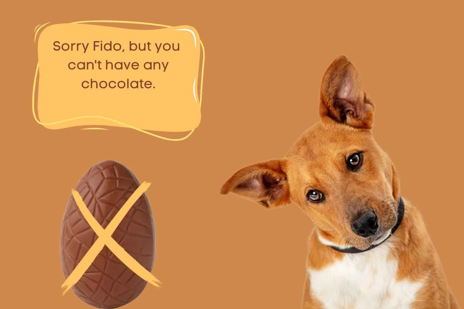 dog and chocolate egg